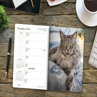 Willow Creek Pritisnite Što mačke podučavaju američki kalendar za angažman, spiralni planer