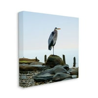 Stupell Home Décor plaža Heron ptica okean životinja fotografija na platnu zid Art James McLoughlin