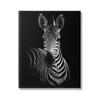 Stupell Industries upečatljiv sivi ton jednobojni Zebra fotografija galerija portreta-umotana platnena