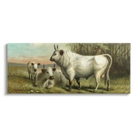 Stupell Industries Bijela goveda porodična ruralna sela Detaljna slika Galerija slika umotana platnena