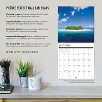 Willow Creek Press Songbirds Zidni kalendar