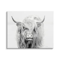 Stupell Industries ekspresivna brdska goveda jednobojni portret životinja Galerija fotografija umotano