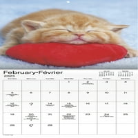 Trendovi Međunarodni Umiljati Mačići Mini Zidni Kalendar