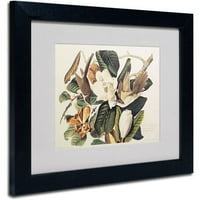 Zaštitni znak likovne umjetnosti Crno-naplaćena kukavica platna umjetnost Johna Jamesa Audubona, crni