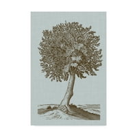 Zaštitni znak likovne umjetnosti 'antikno drvo u sepiji i' platno Art by Vision Studio