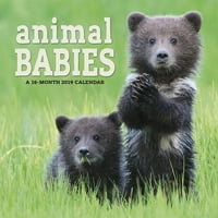Životinjske bebe Zidni kalendar, životinje za bebe po kalendarima