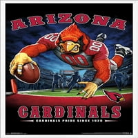 Arizona Cardinals-Zidni Poster Za Kraj Zone, 22.375 34