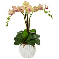 Skoro prirodni plesivni aranžman za orhideju u bijeloj vazi