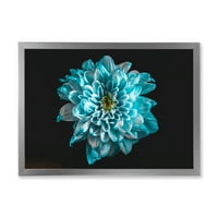 PRONAĐEDITET Kružnija cvijeta s bijelim i plavim laticama tradicionalnog uokvirenog ispisa umjetnosti