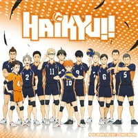 Trends International Haikyu