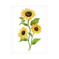 Annie Warren' Sunflower trio II ' Canvas Art