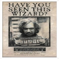 Svijet čarobnjaka: Harry Potter - Sirius crni željeni poster Poster, 14.725 22.375
