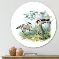 PROIZVODNJA Drevne ptice u divljini i tradicionalni krug metalna zidna umjetnost - disk od 23