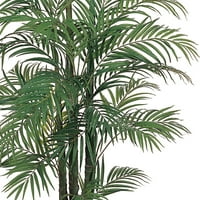 Skoro prirodna 6 'areca svilena palma zelena zelena