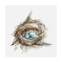 Zaštitni znak likovne umjetnosti' Bird Nest Study II ' umjetnost na platnu Ethana Harpera