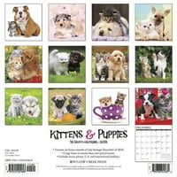 Kittens & Puppies Wall Calendar
